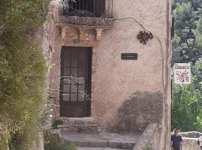 Tiny House Belleraze Hébergement de vacances *